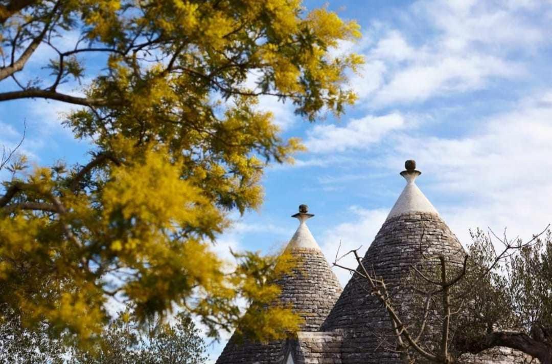 Trulli Azzalema With Exclusive Pool Villa Бриндизи Екстериор снимка